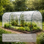 Tunnelkas 400x120x170 cm met Boogdak en Stalen Frame in Transparant