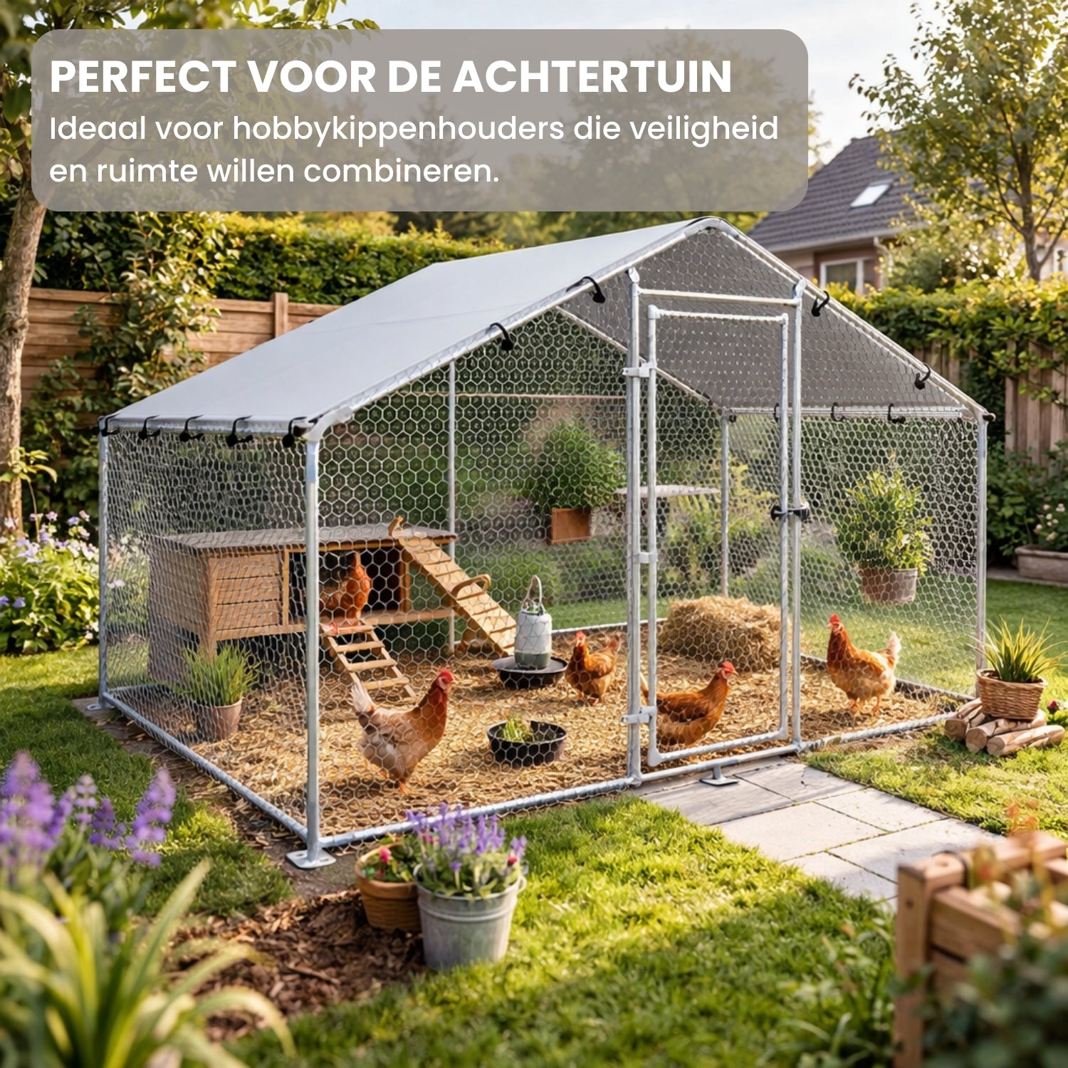 Kippenren 300x170x190 cm met Dakzeil en Stalen Frame