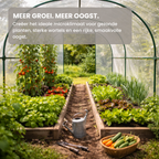 Tunnelkas 400x120x170 cm met Boogdak en Stalen Frame in Transparant