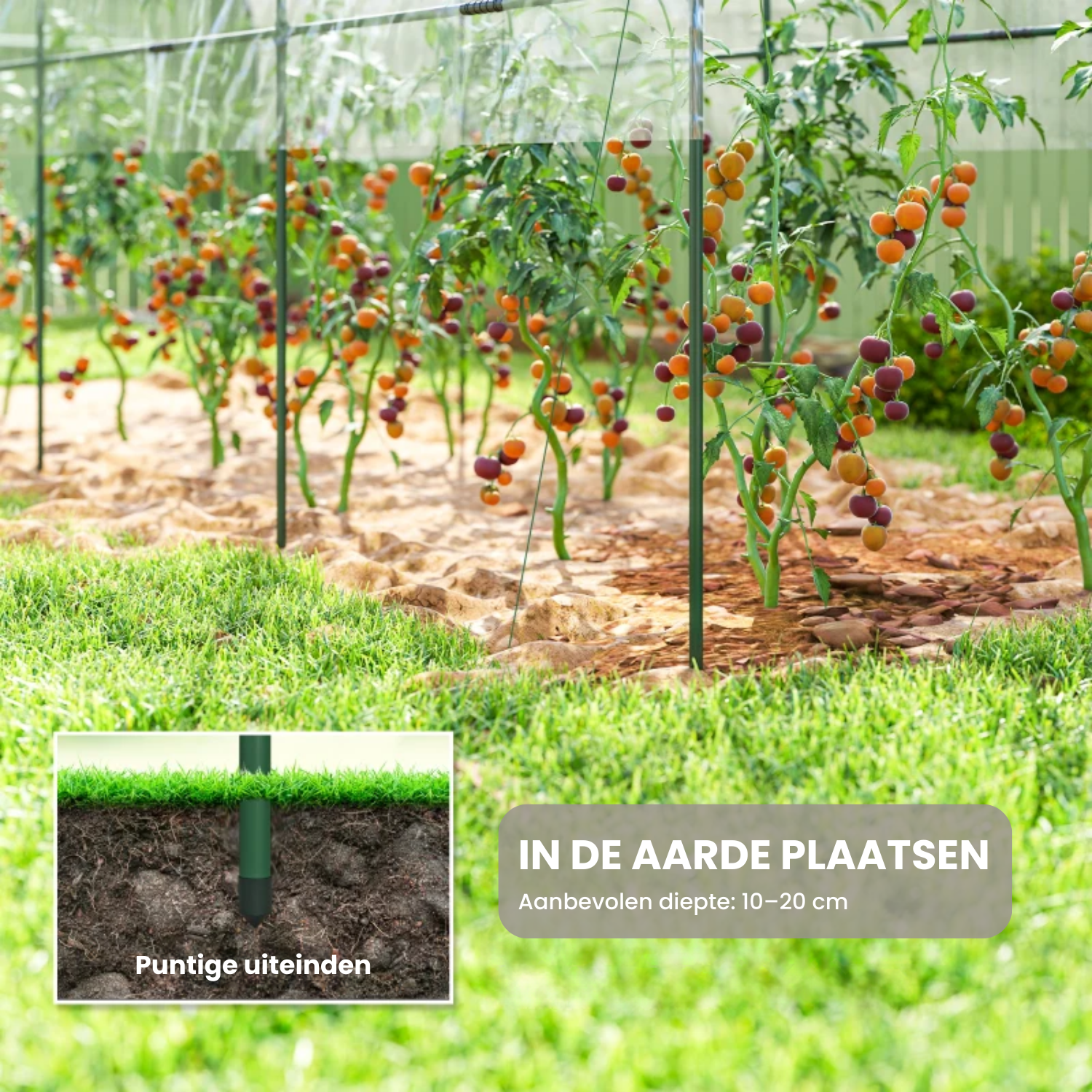 Tunnelkas 400x120x170 cm met Boogdak en Stalen Frame in Transparant