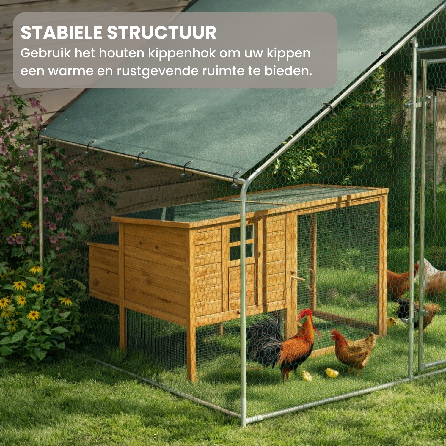 Kippenren 300x170x190 cm met Dakzeil en Stalen Frame