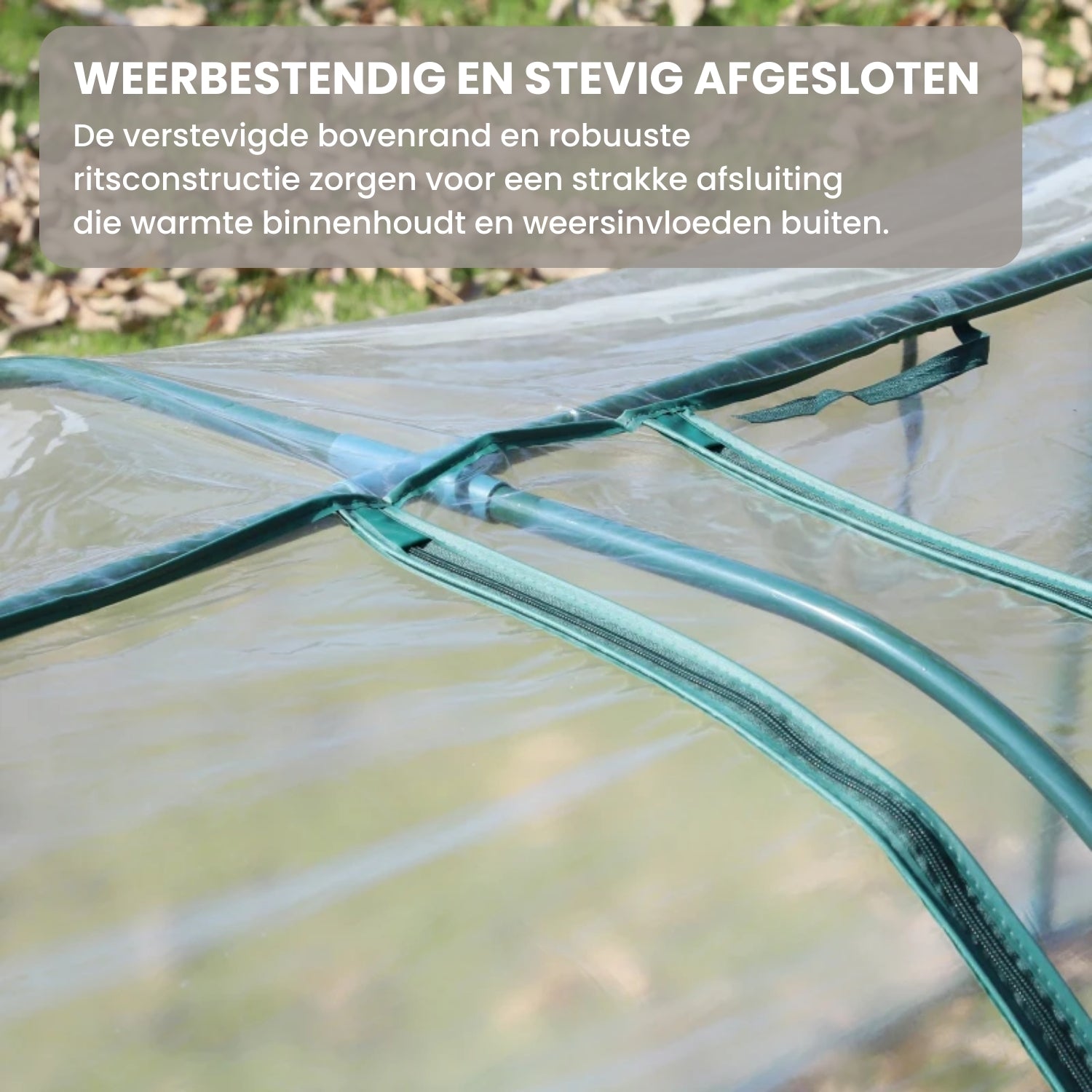 Kweekkas 350x100x80 cm met Roldeur en Stalen Frame in Groen